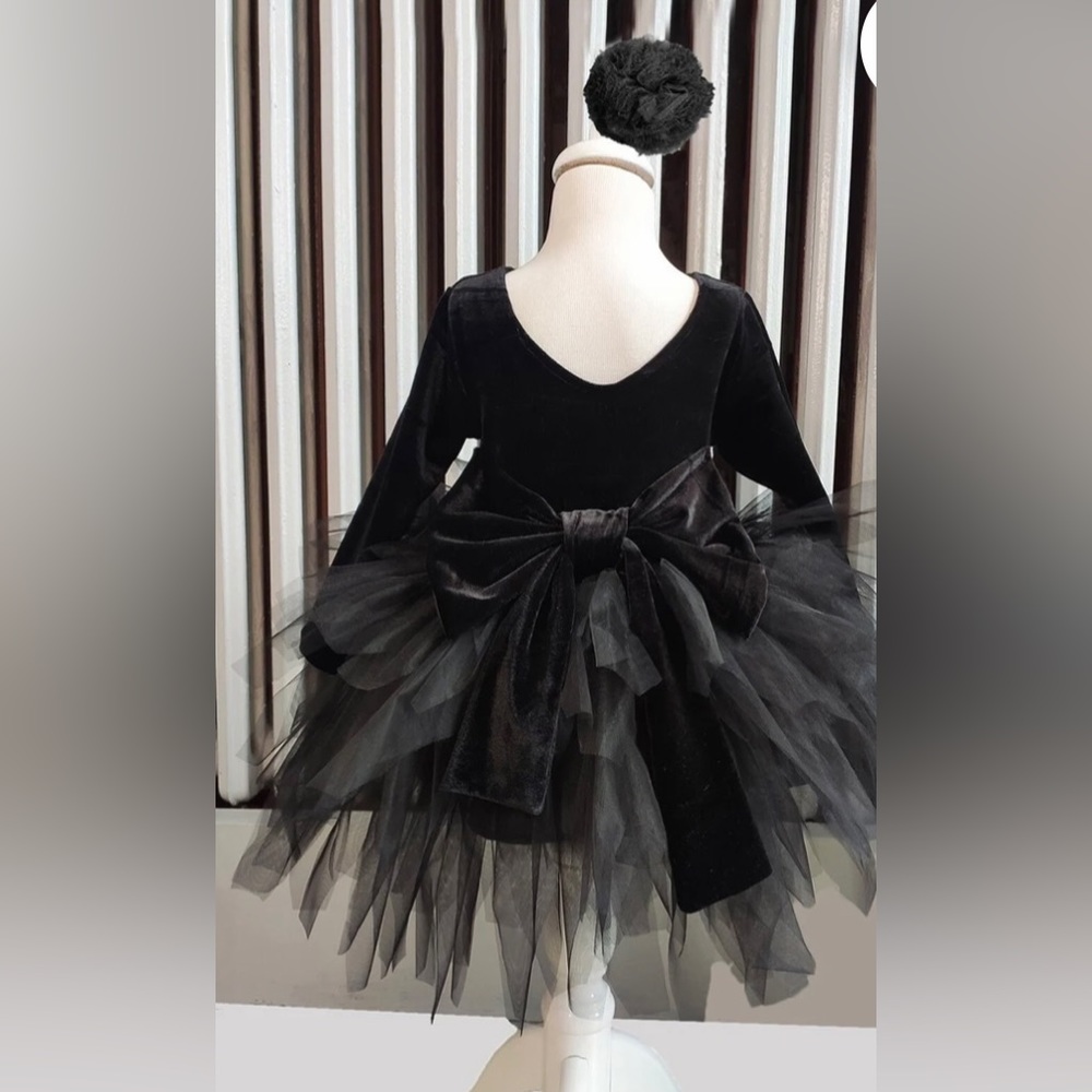 Girls Velvet and Tulle Dress